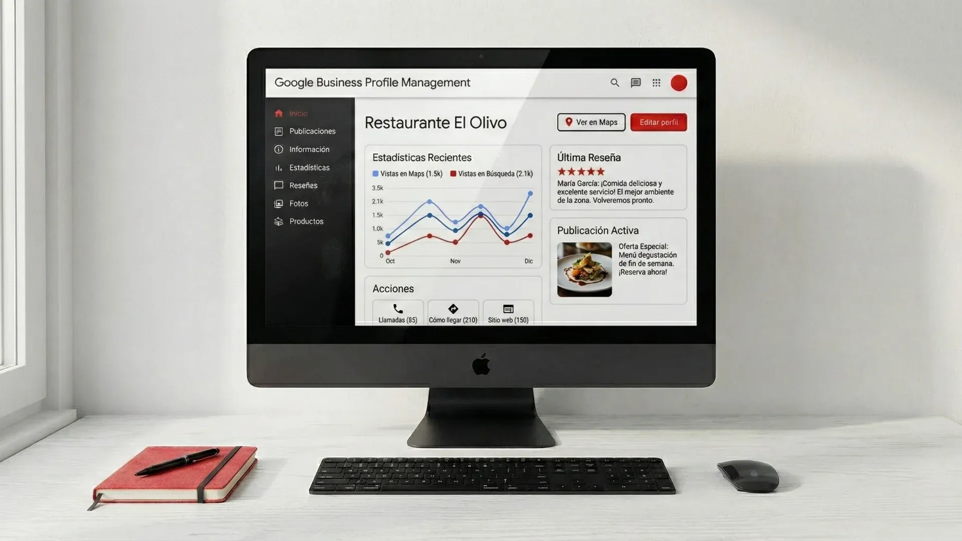 Gestión de Google Business Profile profesional